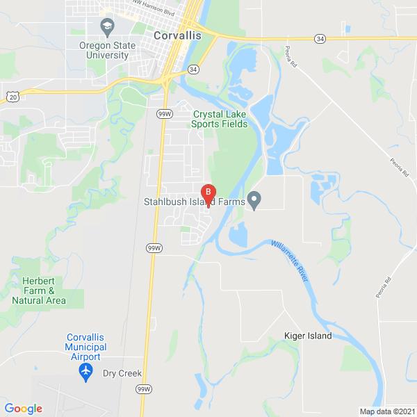 Business directory image
